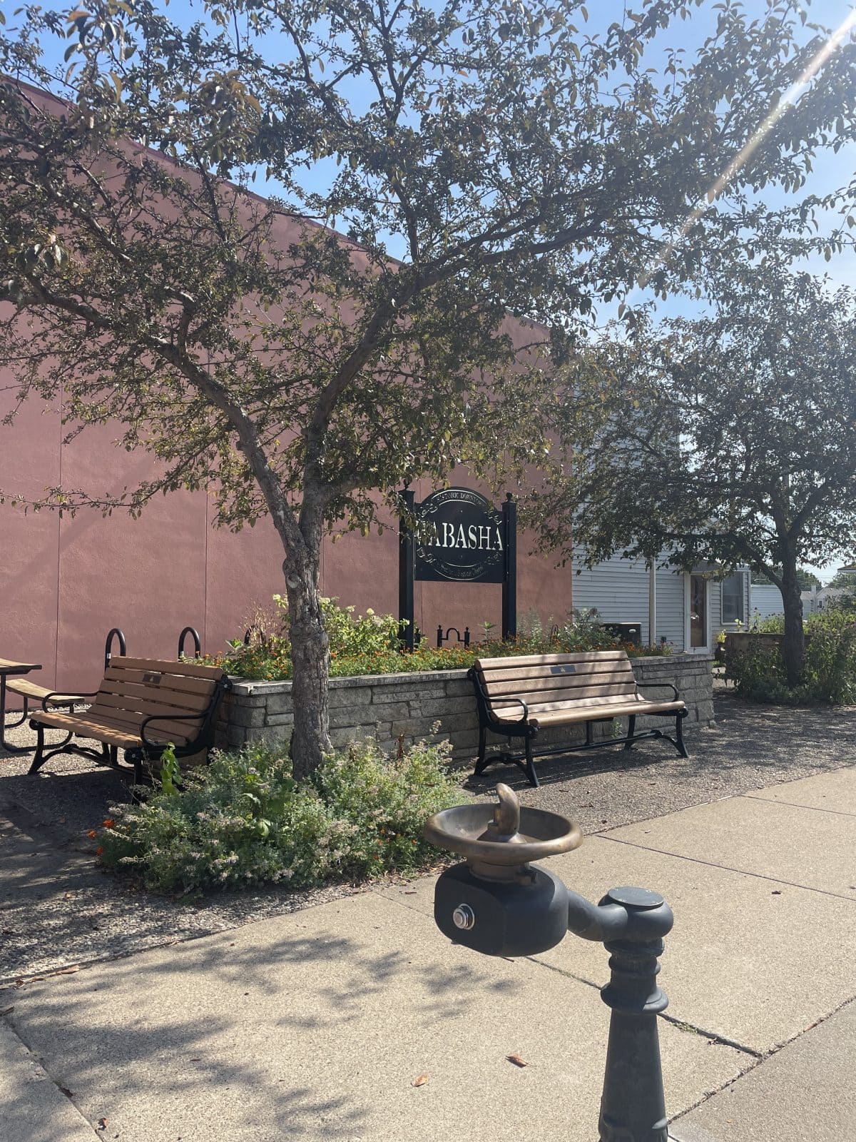 Wabasha Main Street Purchases Benches